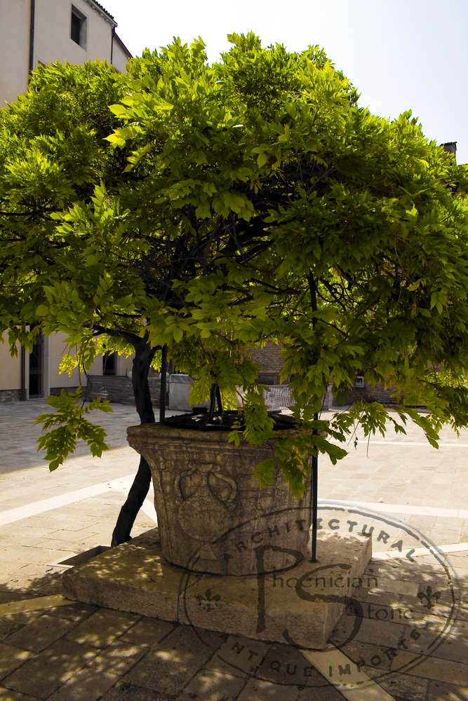 Wellhead Cortile Di Umbria