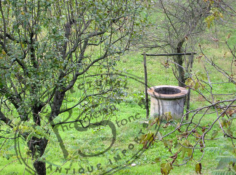 Wellhead French Bastide